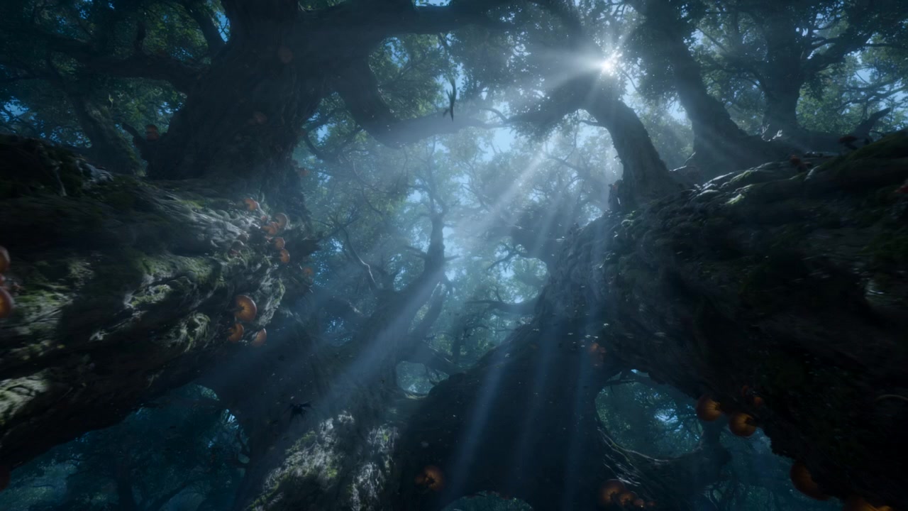 奇幻世界电影镜头